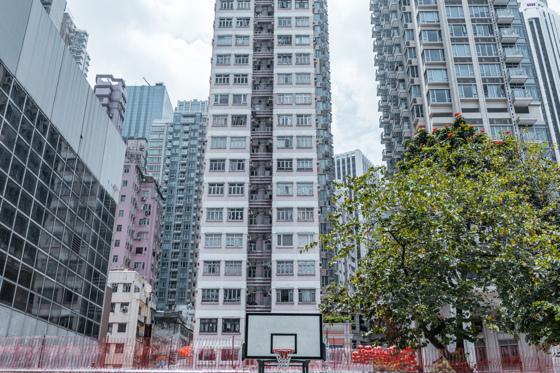宗馥莉18亿美元冻结，离岸信托新规同步落地